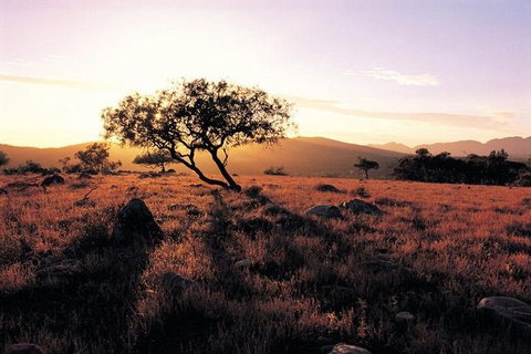 Adelaide To Coober Pedy 7 DAY SMALL GROUP 4WD SAFARI - Perth Resorts 4