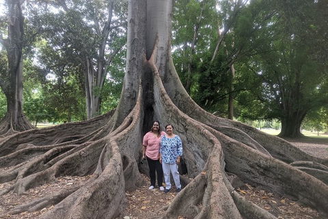 A Taste Of Adelaide And Hahndorf By Car Private Tour. - Accommodation Perth 11