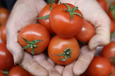 Adelaide Central Market & City EcoCaddy Tour - Perth Resorts 7