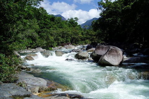 Daintree Rainforest, Cape Tribulation, Mossman Gorge In A Day - Accommodation Perth 0