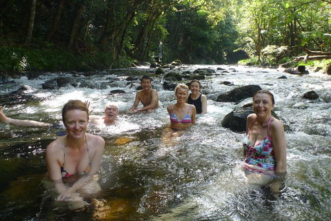 Daintree Rainforest, Cape Tribulation, Mossman Gorge In A Day - Accommodation Perth 10