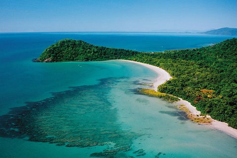 Daintree Rainforest, Cape Tribulation, Mossman Gorge In A Day - Accommodation Perth 6