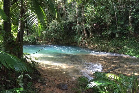 Daintree - Cape Tribulation & Atherton Tablelands Tours From Port Douglas - Accommodation Perth 5