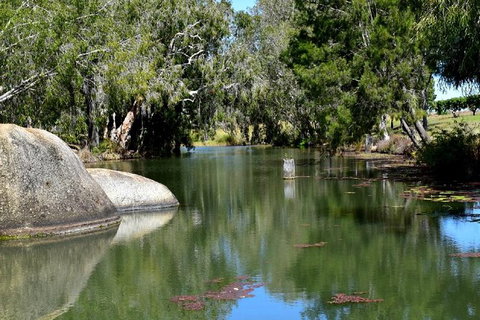 Daintree - Cape Tribulation & Atherton Tablelands Tours From Port Douglas - Accommodation Perth 28