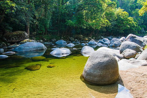 Daintree - Cape Tribulation & Atherton Tablelands Tours From Port Douglas - Accommodation Perth 6