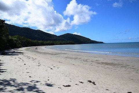 Daintree - Cape Tribulation & Atherton Tablelands Tours From Port Douglas - Accommodation Perth 18