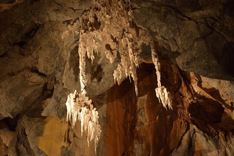 Daintree - Cape Tribulation & Atherton Tablelands Tours From Port Douglas - Accommodation Perth 23