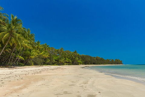 Ocean Safari Great Barrier Reef Experience In Cape Tribulation - Accommodation Perth 3