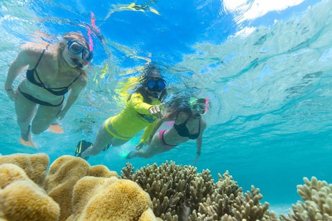 Ocean Safari Great Barrier Reef Experience In Cape Tribulation - Accommodation Perth 4
