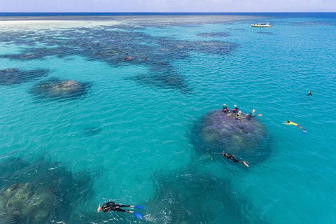 Ocean Safari Great Barrier Reef Experience In Cape Tribulation - Accommodation Perth 12