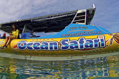 Ocean Safari Great Barrier Reef Experience In Cape Tribulation - Accommodation Perth 8