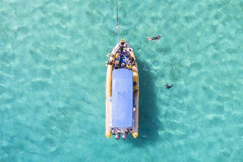 Ocean Safari Great Barrier Reef Experience In Cape Tribulation - Accommodation Perth 17