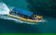 Ocean Safari Great Barrier Reef Experience In Cape Tribulation - thumb 9