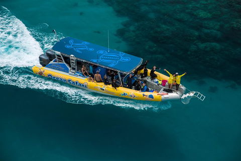 Ocean Safari Great Barrier Reef Experience In Cape Tribulation - Accommodation Perth 9