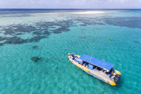 Ocean Safari Great Barrier Reef Experience In Cape Tribulation - Accommodation Perth 11