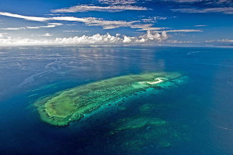 Ocean Safari Great Barrier Reef Experience In Cape Tribulation - Accommodation Perth 15