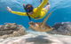 Ocean Safari Great Barrier Reef Experience In Cape Tribulation - thumb 2