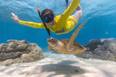 Ocean Safari Great Barrier Reef Experience In Cape Tribulation - Accommodation Perth 2