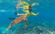 Ocean Safari Great Barrier Reef Experience In Cape Tribulation - thumb 14