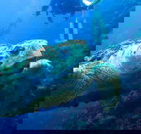 Scuba Dive the S.S. Yongala Wreck on the Great Barrier Reef. - Accommodation Perth
