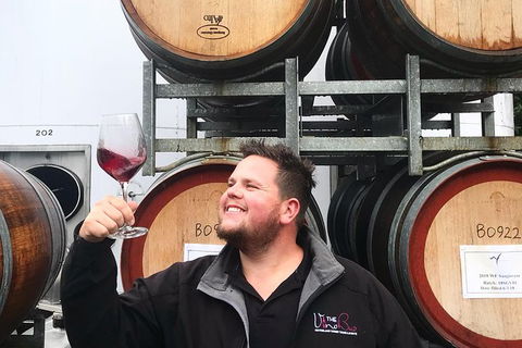 Mount Tamborine Wine Tasting Tour From Brisbane Or The Gold Coast - Accommodation Perth 8