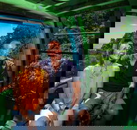 Skyrail Rainforest Cableway Day Trip from Palm Cove - Accommodation Perth