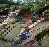 Hartley's Crocodile Adventures Day Trip from Cairns - Accommodation Perth