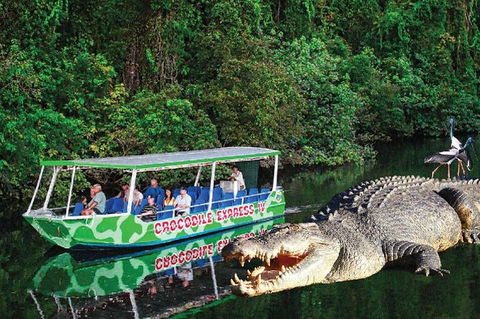 Daintree River Cruise - Accommodation Perth 0