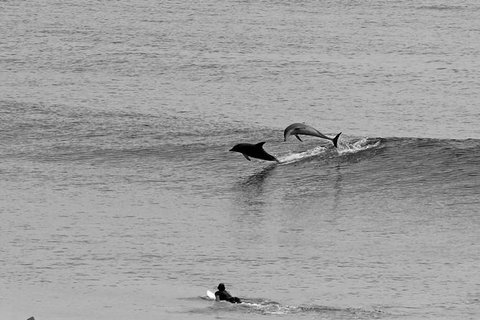 Overnight Tweed Coast Camping And Surfing Getaway From The Gold Coast - Perth Resorts 2