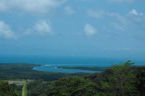 Cape Tribulation, Daintree Rainforest And Wildlife Tour - Accommodation Perth 7