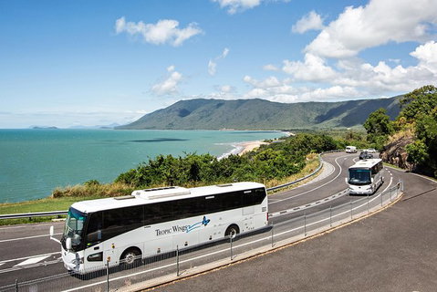 Cape Tribulation, Daintree Rainforest And Wildlife Tour - Accommodation Perth 3