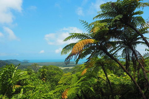 Cape Tribulation, Daintree Rainforest And Wildlife Tour - Accommodation Perth 5