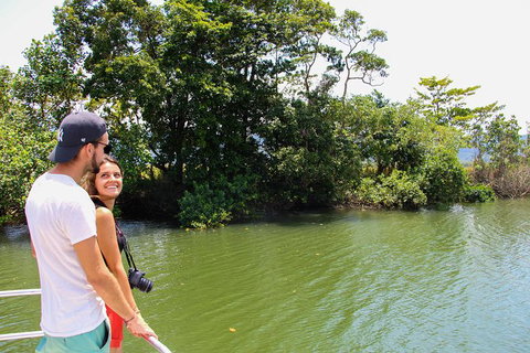 Cape Tribulation, Daintree Rainforest And Wildlife Tour - Accommodation Perth 8