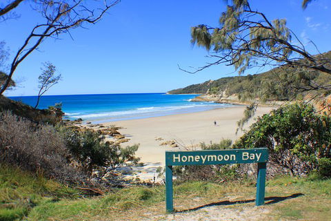 Fraser & Moreton Island 3-Day Scenic 4WD ECO Tour From Brisbane Or Gold Coast - Accommodation Perth 0
