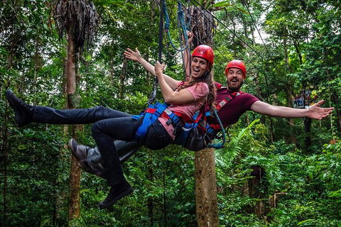 Daintree Atttractions Pass: The Best Of The Daintree In A Day - Accommodation Perth 1
