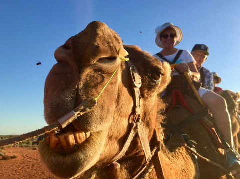 Uluru Small-Group Tour By Camel At Sunrise Or Sunset - Perth Resorts 7