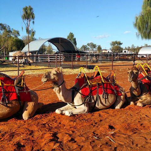 Uluru Small-Group Tour By Camel At Sunrise Or Sunset - Perth Resorts 15