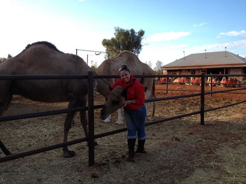 Uluru Small-Group Tour By Camel At Sunrise Or Sunset - Perth Resorts 21