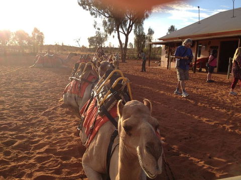 Uluru Small-Group Tour By Camel At Sunrise Or Sunset - Perth Resorts 22