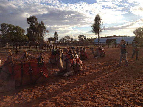 Uluru Small-Group Tour By Camel At Sunrise Or Sunset - Perth Resorts 23