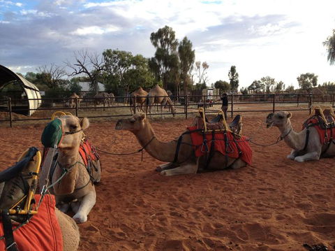 Uluru Small-Group Tour By Camel At Sunrise Or Sunset - Perth Resorts 24