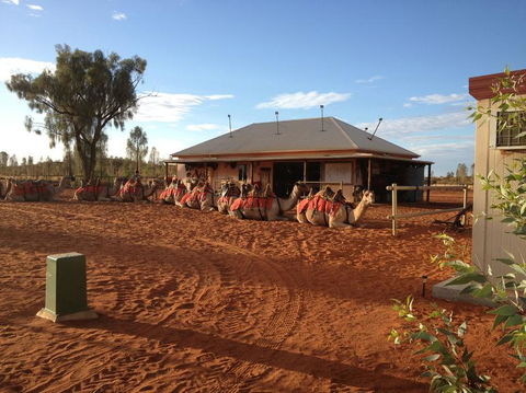 Uluru Small-Group Tour By Camel At Sunrise Or Sunset - Perth Resorts 19