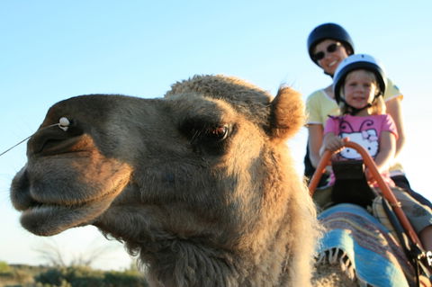 Uluru Small-Group Tour By Camel At Sunrise Or Sunset - Perth Resorts 3