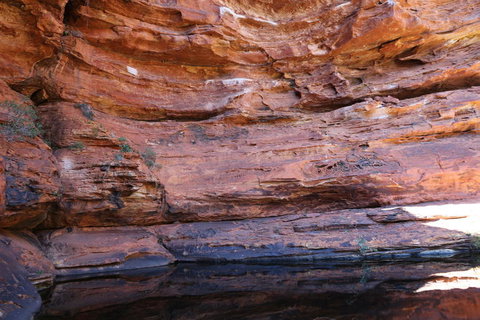 Kings Canyon Day Trip From Ayers Rock - Perth Resorts 16