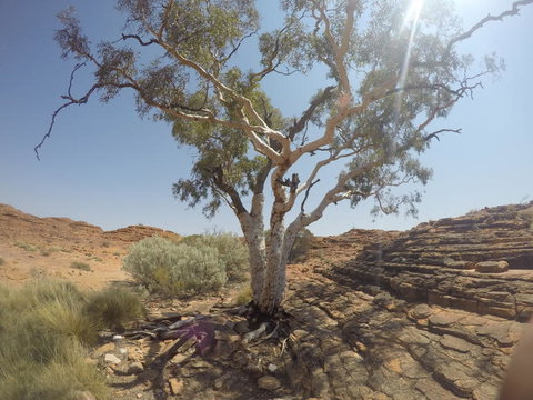 Kings Canyon Day Trip From Ayers Rock - Perth Resorts 3