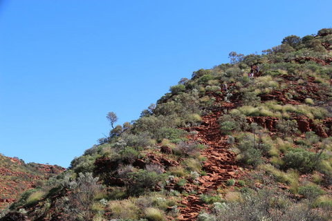 Kings Canyon Day Trip From Ayers Rock - Perth Resorts 21
