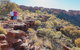Kings Canyon Day Trip From Ayers Rock - thumb 0