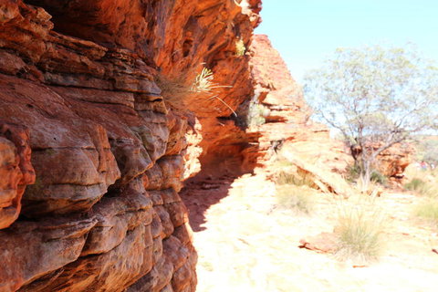 Kings Canyon Day Trip From Ayers Rock - Perth Resorts 20