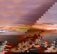 Darwin Harbour Sunset Cruise with Optional Buffet Dinner - Accommodation Perth