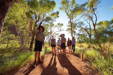 Uluru Small Group Tour Including Sunset - Accommodation Perth 5